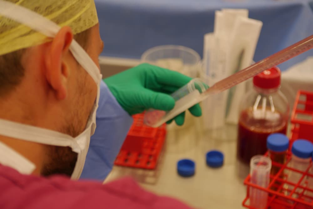 Cartilage cells prepared during a single-stage procedure