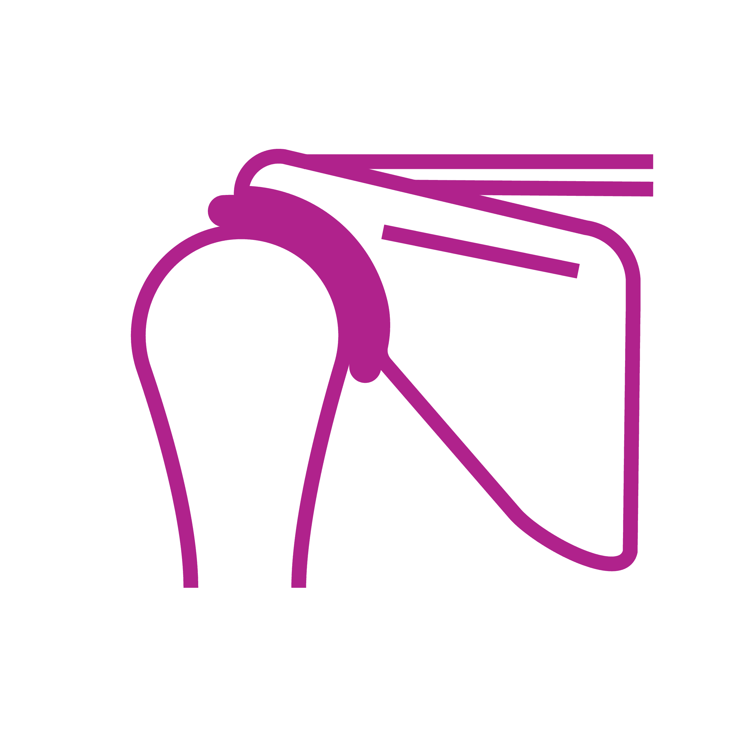 Shoulder joint anatomy