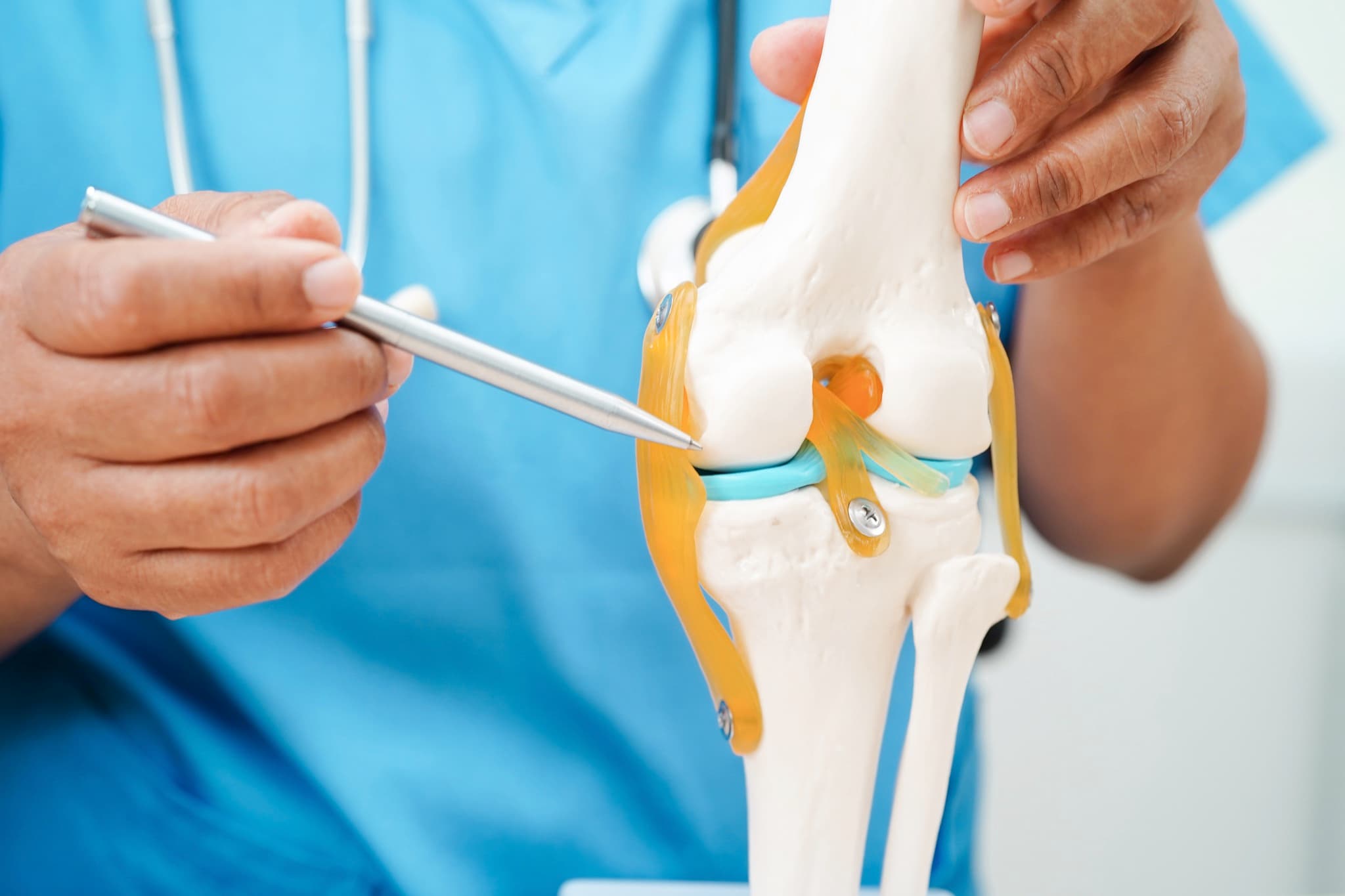 Doctor demonstrating knee joint model during consultation