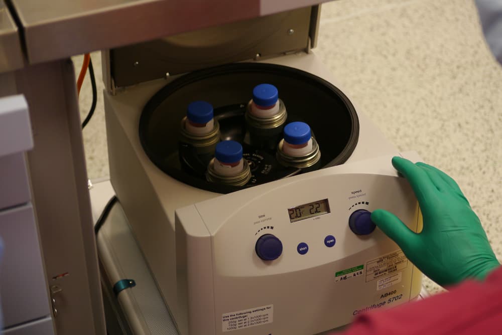 Cartilage cells prepared during a single-stage procedure